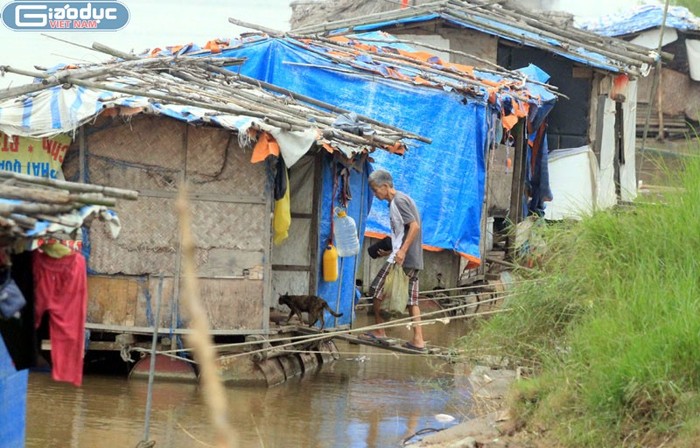 Ông Thành "sói" và "căn hộ' của mình ở bãi giữa sông Hồng